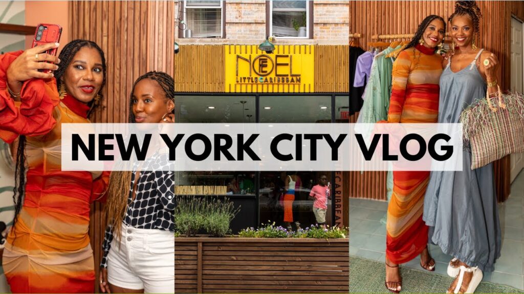 image for new york city vlog! my meet & greet in brooklyn, gift haul & house hunting chat ❤︎ monroe steele