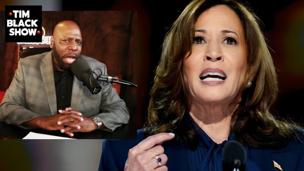 image for kamala harris' dnc speech in a nutshell
