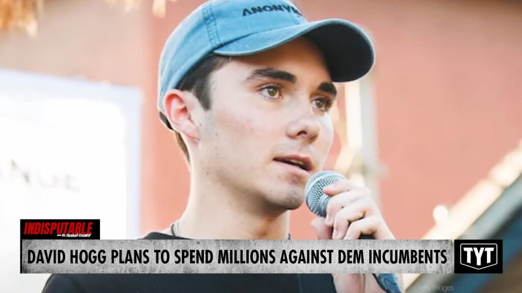 image for dems panic as dnc vice chair plans to spend millions against incumbents